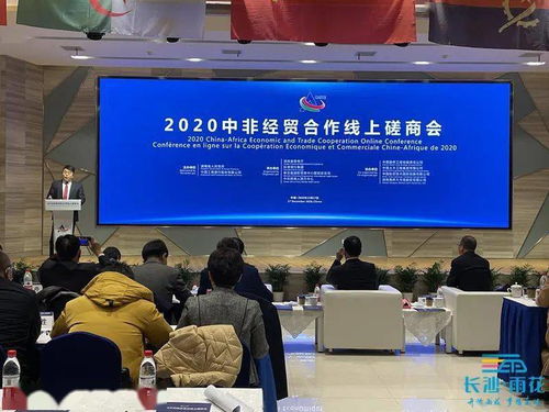 中非經貿合作新篇章 2020線上磋商會在雨花區成功舉辦，共繪企業‘交友結親’新藍圖